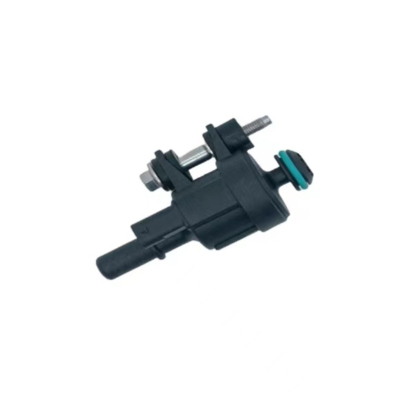 Carbon canister solenoid valve LIY LIVLIV 24109869