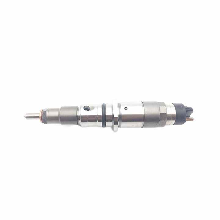 Common Rail Injector 0445110493/494/750