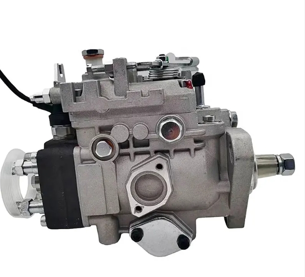 VE Injector Pump 1001200529